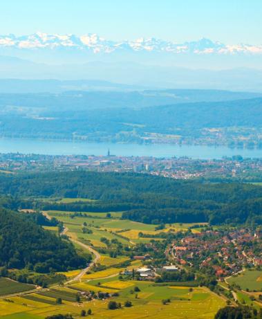 Bodensee Immobilien
